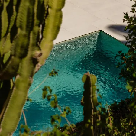 In Elviria, A Retreat Among Palm Trees, With Private Heated Pool And Barbecue, Marbella