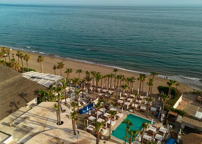 Villa In Elviria, A Retreat Among Palm Trees, With Private Heated Pool And Barbecue,