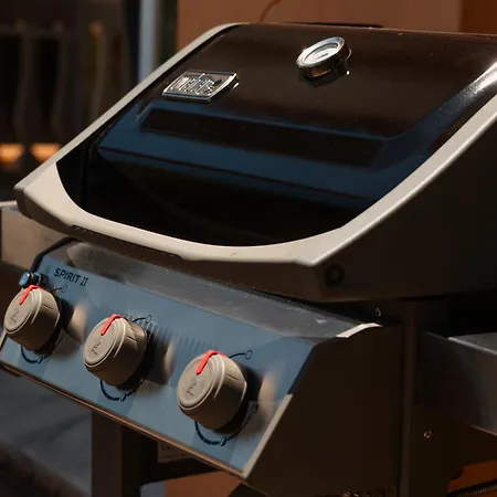 Villa In Elviria, A Retreat Among Palm Trees, With Private Heated Pool And Barbecue, Marbella