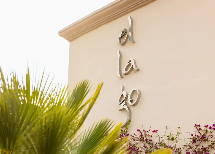 In Elviria, A Retreat Among Palm Trees, With Private Heated Pool And Barbecue, Marbella