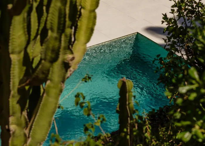 In Elviria, A Retreat Among Palm Trees, With Private Heated Pool And Barbecue, Marbella